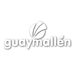 guaymallén